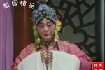秦雪梅 全集下载