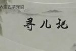 寻儿记 全集下载