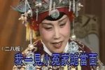 寻儿记/八珍汤下载