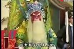 雷振海征南 全集下载