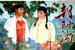 豫剧朝阳沟全场原版电影1963版