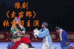 卖苗郎 全集下载