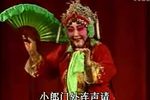 花打朝