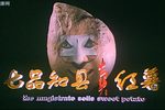七品知县卖红薯 全集
