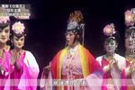 白莲花 全集下载