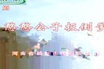 憨憨公子扳倒爹 全集
