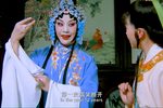 桃花庵下载