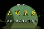 大明皇后 全集下载