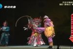 穆杨会 全集下载