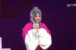 秦雪梅 全集下载