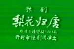 梨花归唐 全集