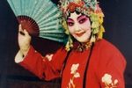 花打朝 全集下载