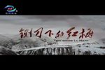 铡刀下的红梅 全集