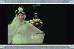 风雨情缘 全集下载