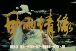 风雨情缘 全集