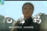 花喜鹊 全集