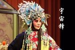 宇宙锋 全集下载
