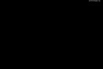 包龙图坐监 全集