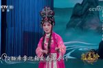 豫剧名家名段虎美玲 金不换下载