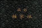 风雨情缘 全集
