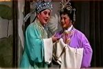 情断状元楼 全集下载