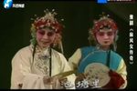 麻风女传奇 全集