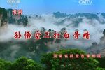孙悟空三打白骨精 全集
