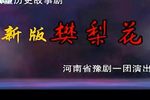 樊梨花征西 全集下载
