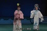 情断状元楼 全集下载
