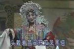 打金枝 全集下载