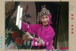 金銮禧 全集下载