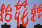 抬花轿 全集下载