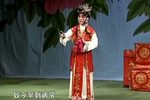 豫剧常派再传弟子王爱民唱腔合辑下载