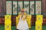 贺后骂殿下载