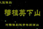 穆桂英下山 全集