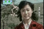 桃园喜 全集下载