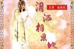泪洒相思地 全集下载