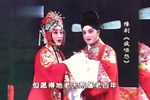 疯哑怨 全集下载