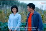 女婿 全集下载