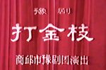 打金枝 全集下载