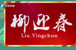柳迎春 全集