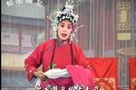 大红袍 10下载