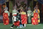 狸猫换太子 9