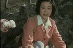 小白鞋说媒 桃园喜 上集下载