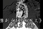 秦雪梅观文下载
