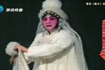 藏舟下载