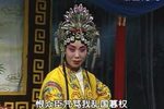 狸猫换太子 7