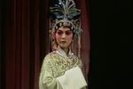 红娘下载
