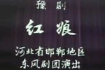 红娘下载