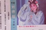 对绣鞋下载